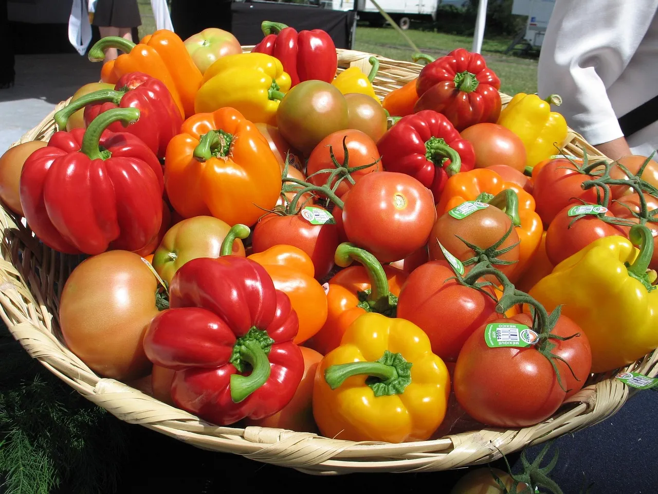 Tomatoes and Peppers: Two Heavy Feeders Fighting for the Same Nitrogen (Image Credits: Pixabay)