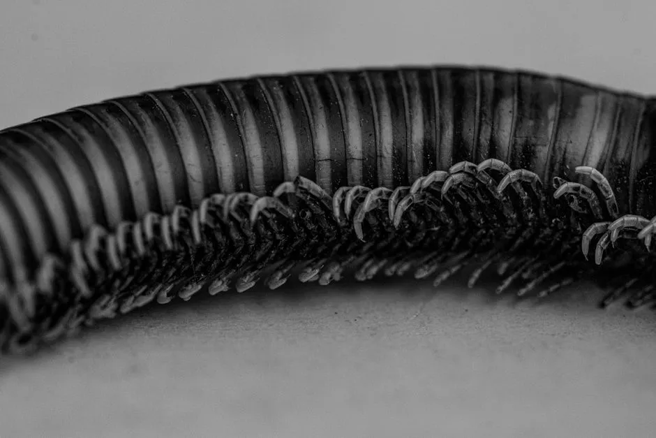 4. White Specks or Unusual Contents Flag Parasites (Image Credits: Pexels)