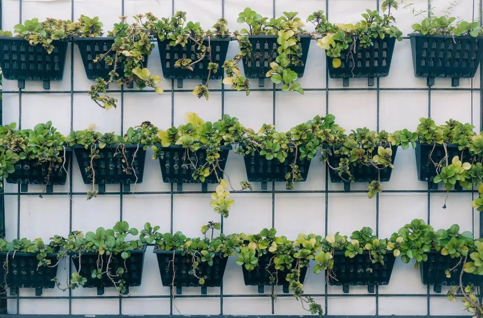Planning the Move: How to Actually Take Your Garden With You (Image Credits: Pexels)