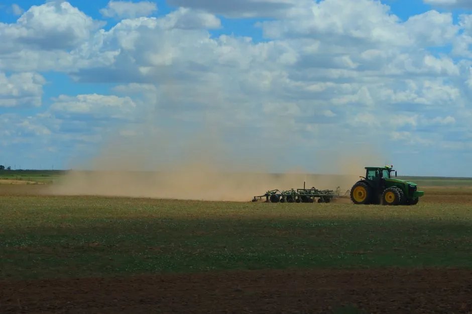 Soil Recovery Required Cross-Farm Coordination During the New Deal (Image Credits: Pexels)