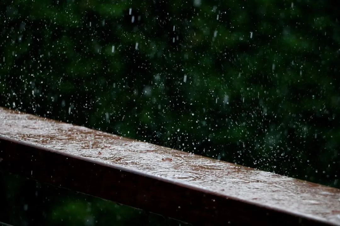 Tracking Data Over Time Makes You a Smarter Waterer (Image Credits: Unsplash)
