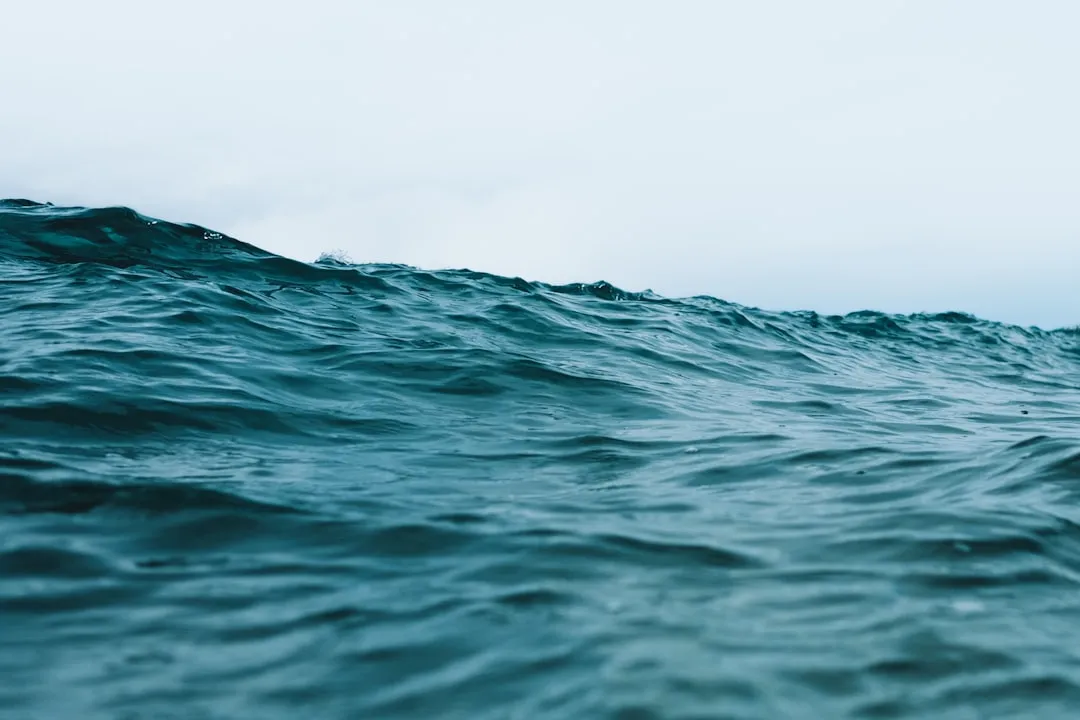 The Numbers Behind the Rising Tide (Image Credits: Unsplash)