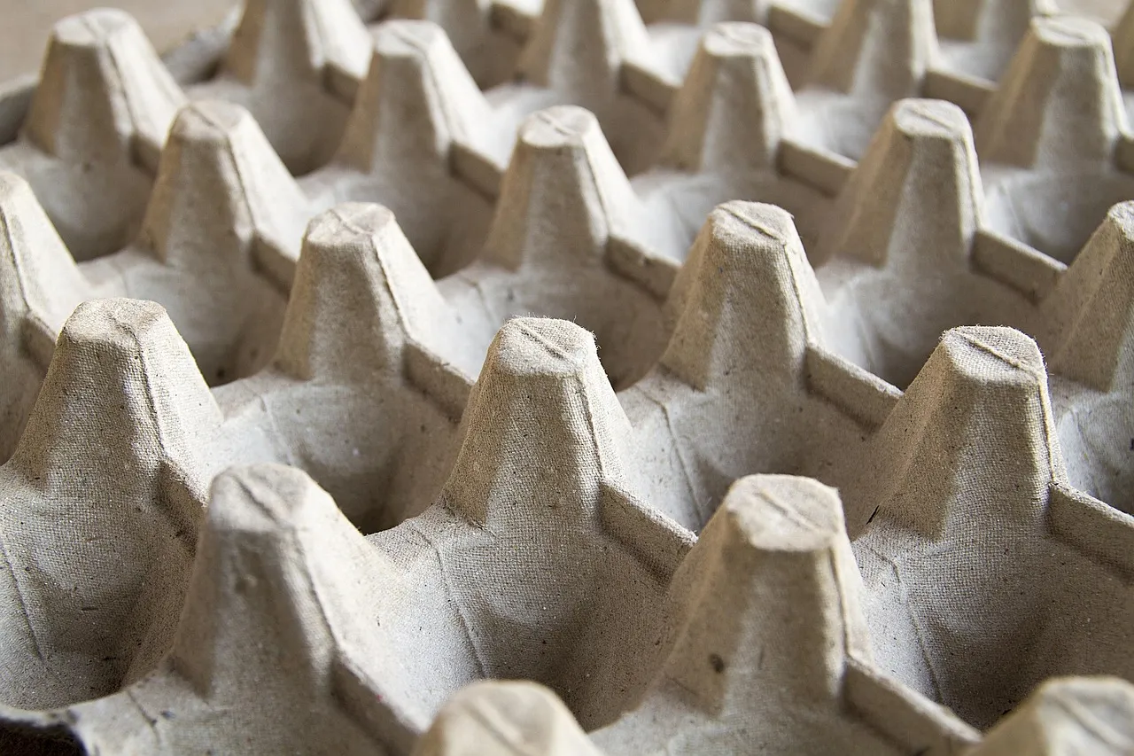 Choosing the Right Egg Carton: Not All Are Equal (Image Credits: Pixabay)