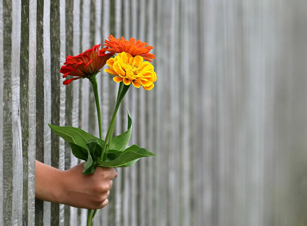 4. Flowers Communicate What Words Often Can't (Image Credits: Pixabay)