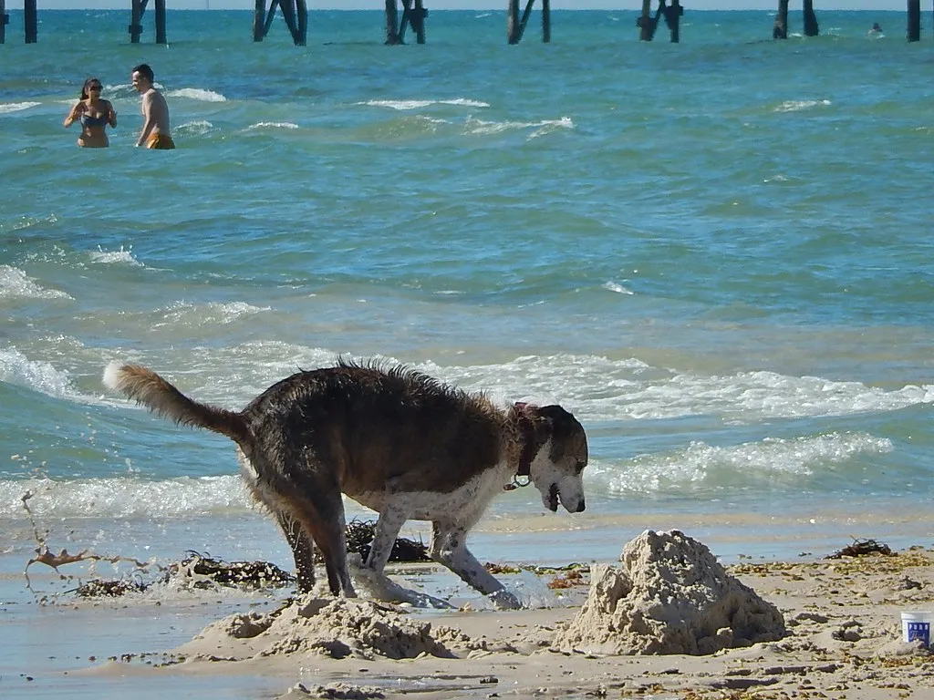 Temperature Seeking: The Cool Earth Solution (mikecogh, Flickr, CC BY-SA 2.0)