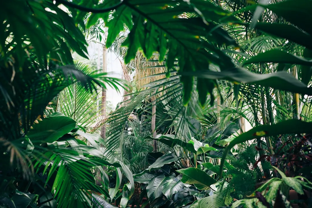 The Quiet Urgency of Conservation (Image Credits: Unsplash)