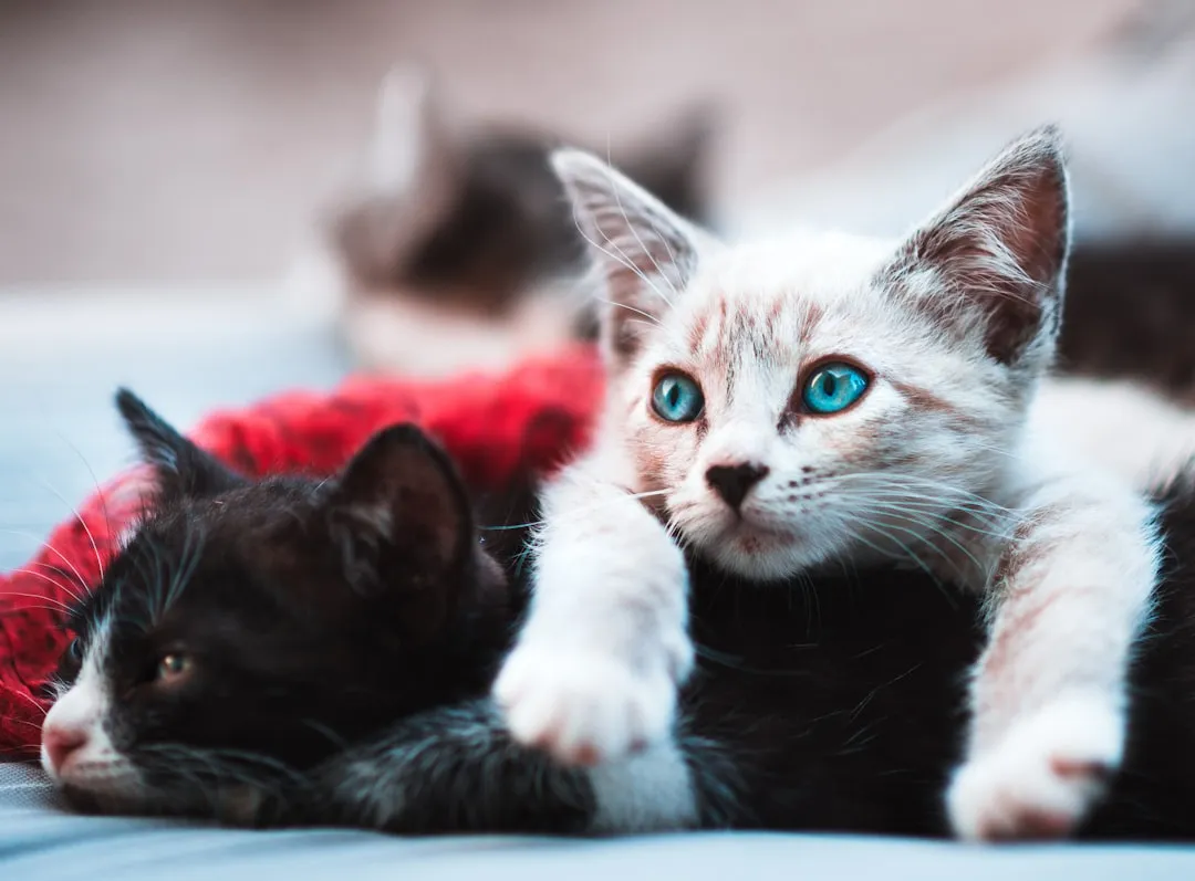 The Wildlife Impact Is Significant (Image Credits: Unsplash)