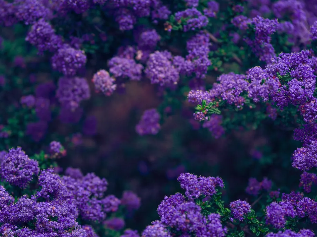 New Shrub Species Are Still Being Named Today (Image Credits: Unsplash)