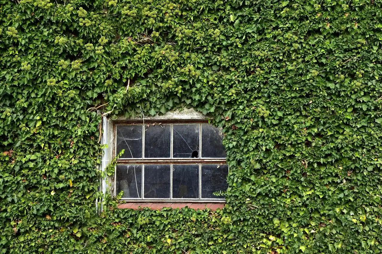 The Yard Around the House Matters More Than You'd Think (Image Credits: Pixabay)