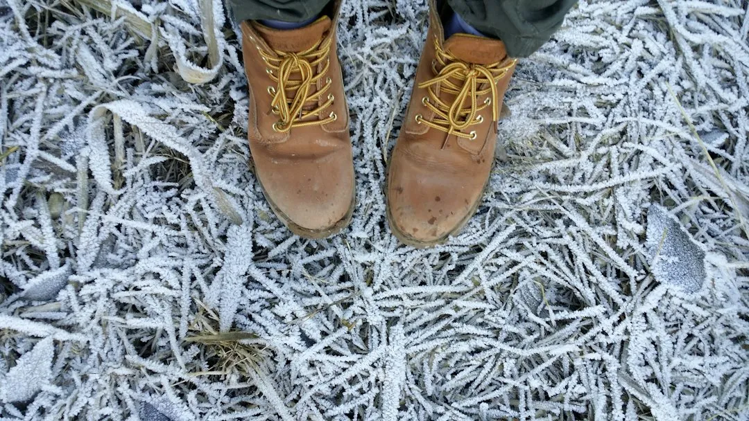 Why Cold Feet Disrupt This Process (Image Credits: Unsplash)