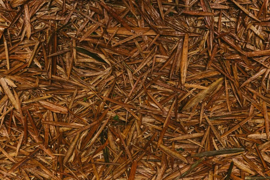 Straw: The Standout Choice for Vegetable Beds (Image Credits: Pexels)