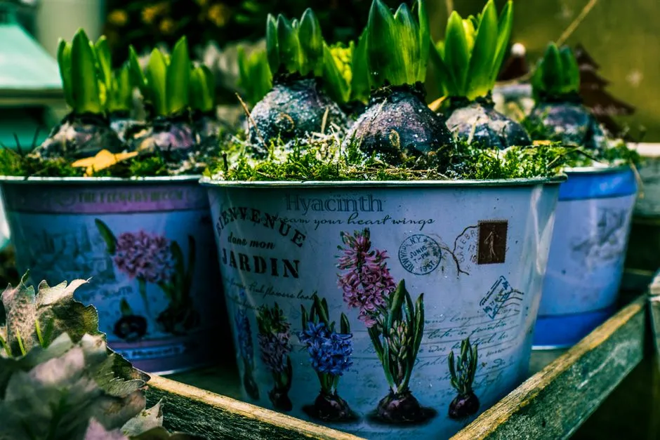 The Takeaway (Image Credits: Pexels)