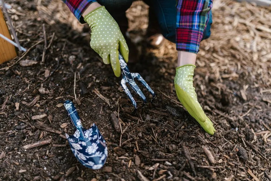 The Clues Are All in the Details (Image Credits: Pexels)
