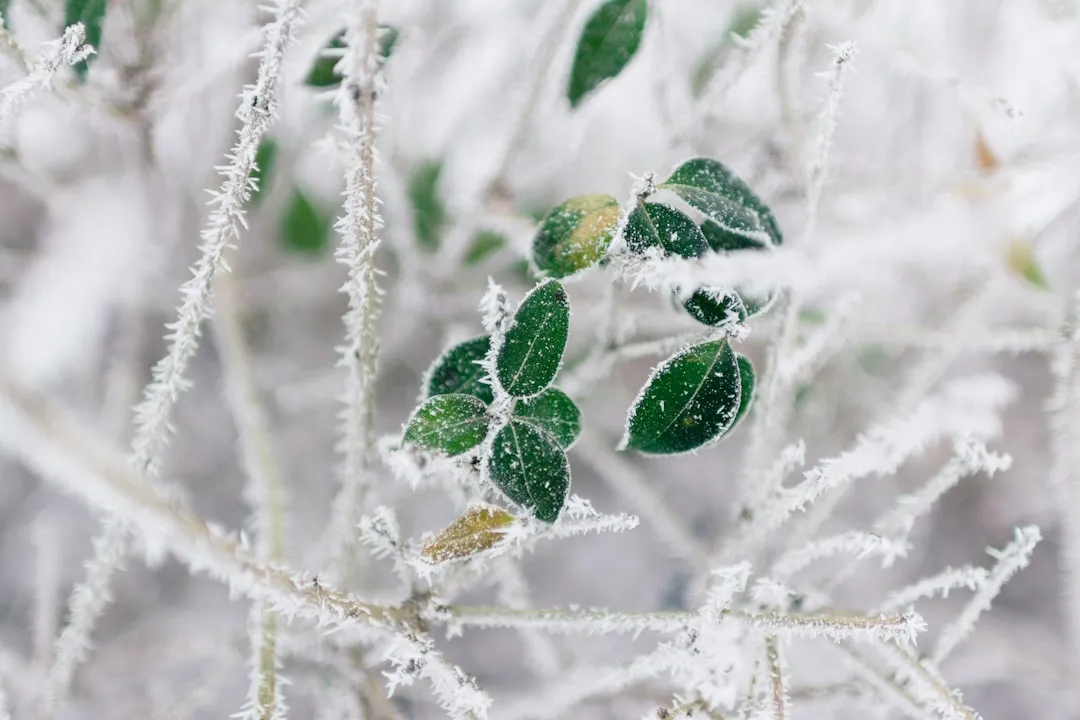 Why Fall's First Cold Snap Hits Harder Than Any Other (Image Credits: Unsplash)