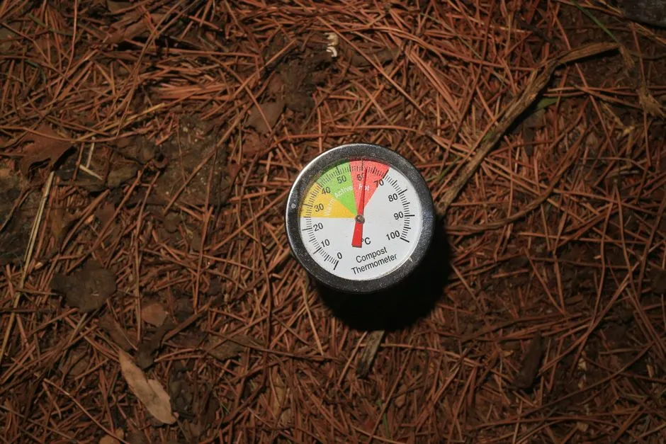 Soil Moisture Amplifies the Temperature Difference (Image Credits: Pexels)