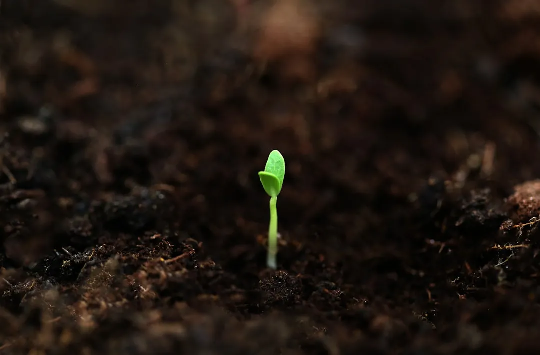 The Chemistry Behind Dormancy Breaking (Image Credits: Unsplash)