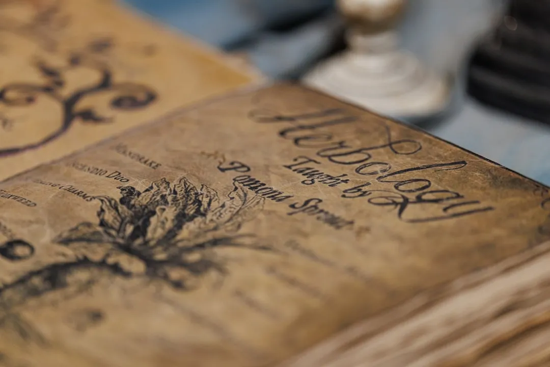 The Guest Book as a Social Artifact (Image Credits: Unsplash)