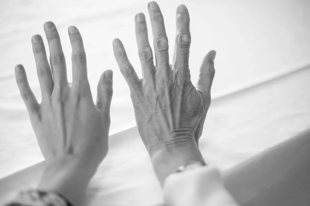The Biology Behind Aging and Why Food Matters (Image Credits: Unsplash)