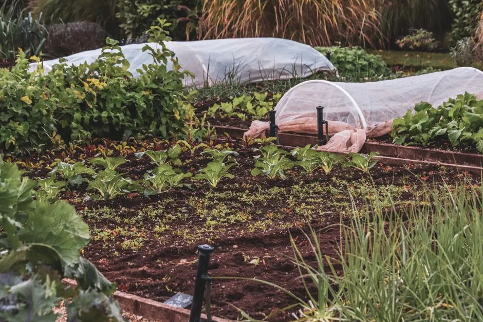 Conclusion: Your Yard Is More Complex Than Any Map Shows (Image Credits: Pexels)