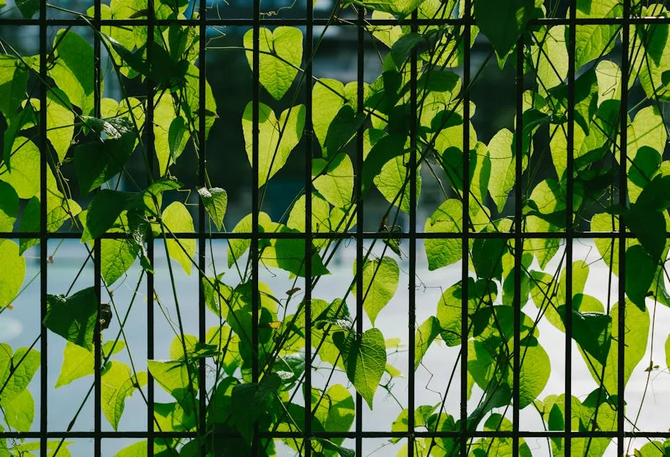 Better Sunlight Exposure Drives Better Harvests (Image Credits: Pexels)