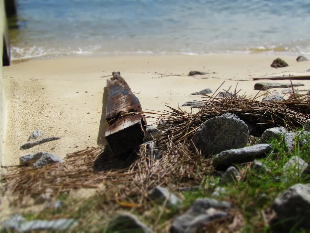 What This Find Means Beyond the Backyard (Image Credits: Unsplash)