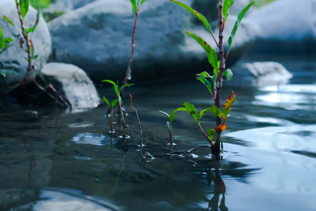 The Difference Between Suckers and Water Sprouts (Image Credits: Unsplash)