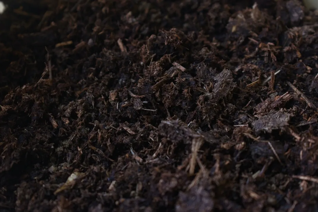 Potting Mix Is a Specific Danger Zone (Image Credits: Unsplash)
