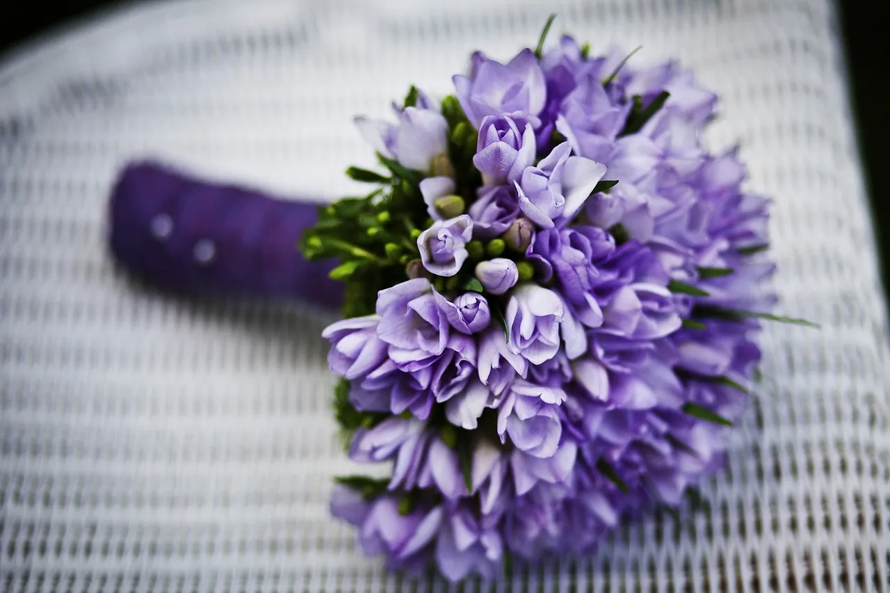 2. The Mood Boost Lasts for Days, Not Just Moments (Image Credits: Pixabay)
