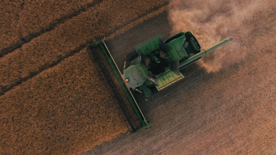 Carbon Storage and Climate Connection (Image Credits: Unsplash)