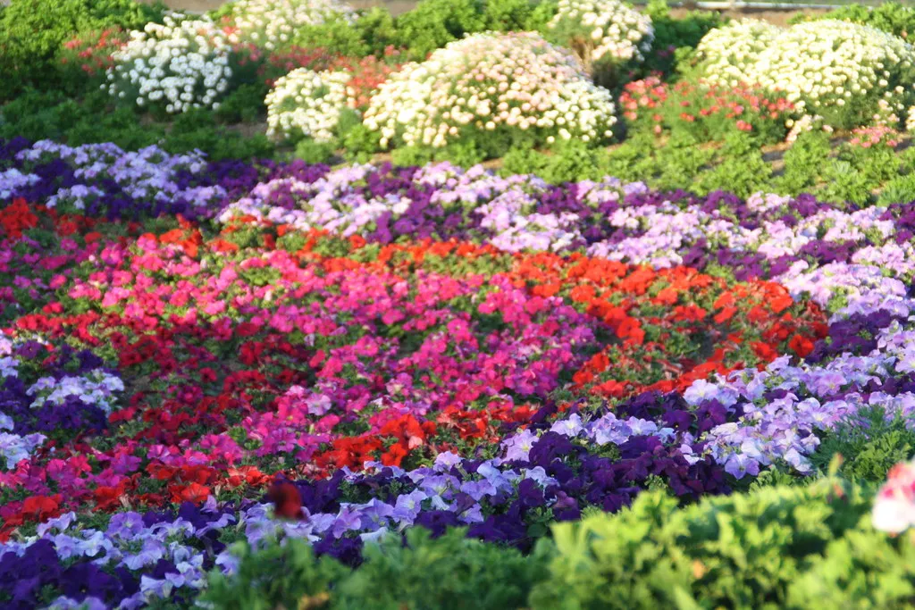 A Garden Can Be Part of the Solution (chrisinphilly5448, Flickr, CC BY-SA 2.0)