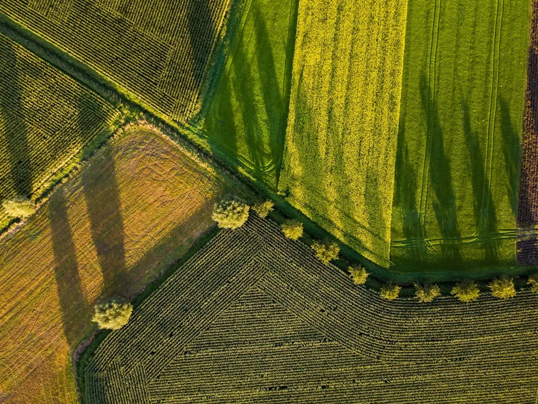 Crop Diversity and Polyculture: Strength in Numbers (Image Credits: Unsplash)