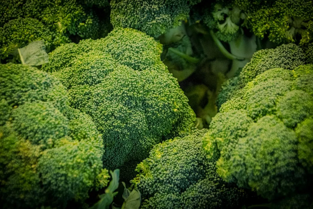 Plant #4: Broccoli (Image Credits: Unsplash)