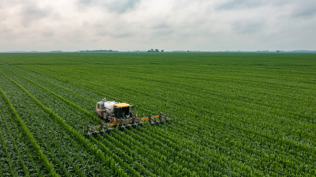 Corn and Soybean Planting Is Shifting Earlier Every Year (Image Credits: Unsplash)