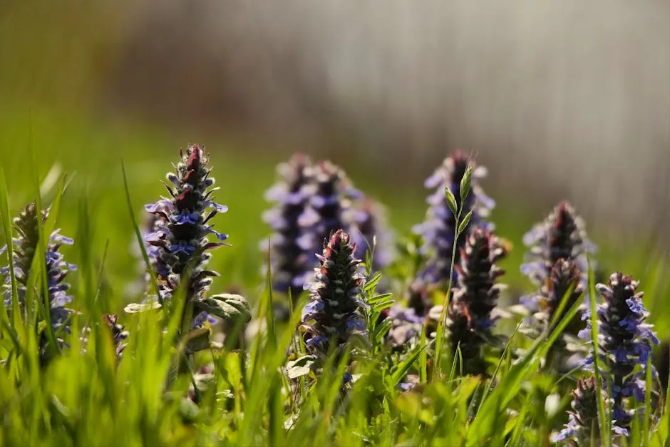 3. Ajuga (Bugleweed): The Shade-Lover With Bold Color (Image Credits: Pexels)