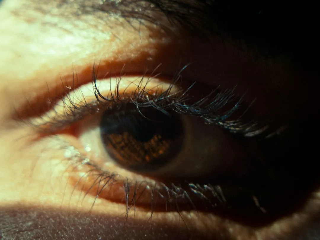 The Eyelids: The Number One Missed Spot (Image Credits: Unsplash)