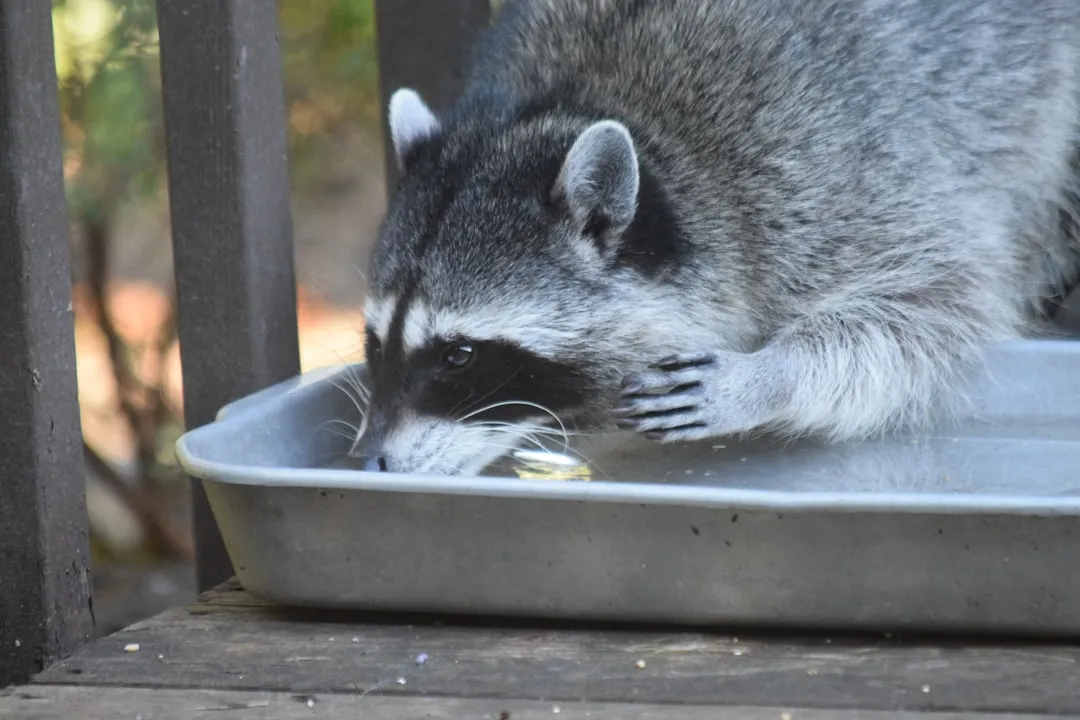 They're Not Actually Cleaning Anything (Image Credits: Unsplash)