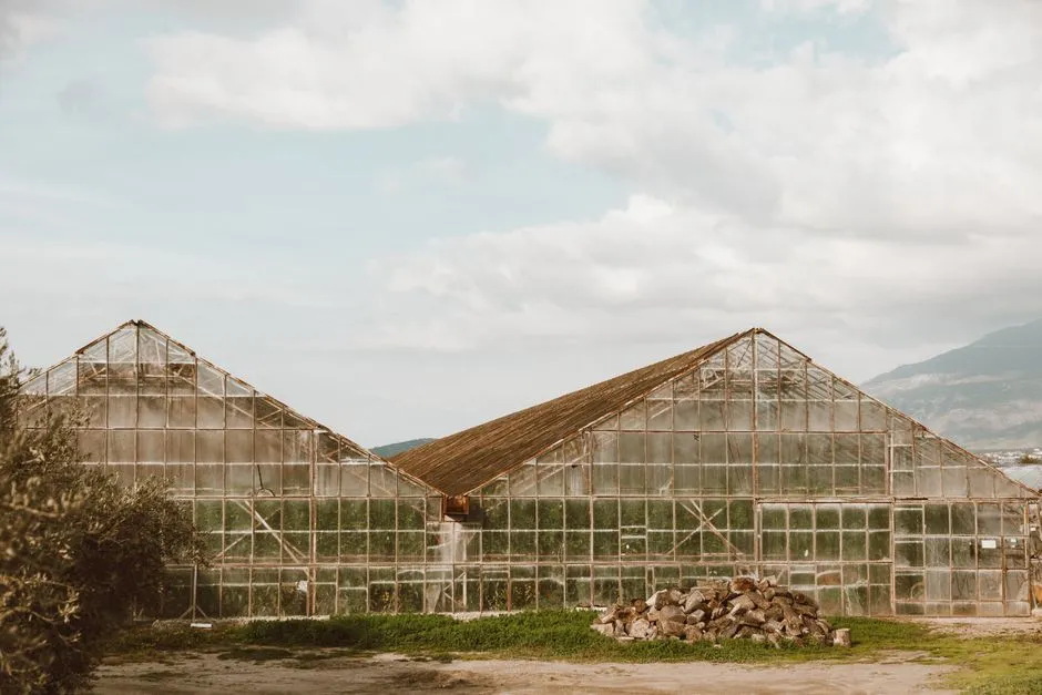 The Energy Advantage That Still Holds Up Today (Image Credits: Pexels)