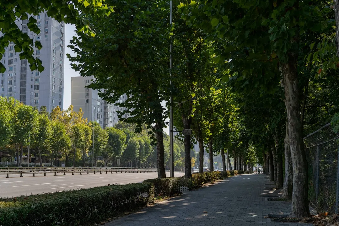 Urban Parks as Neighborhood Cooling Anchors (Image Credits: Unsplash)