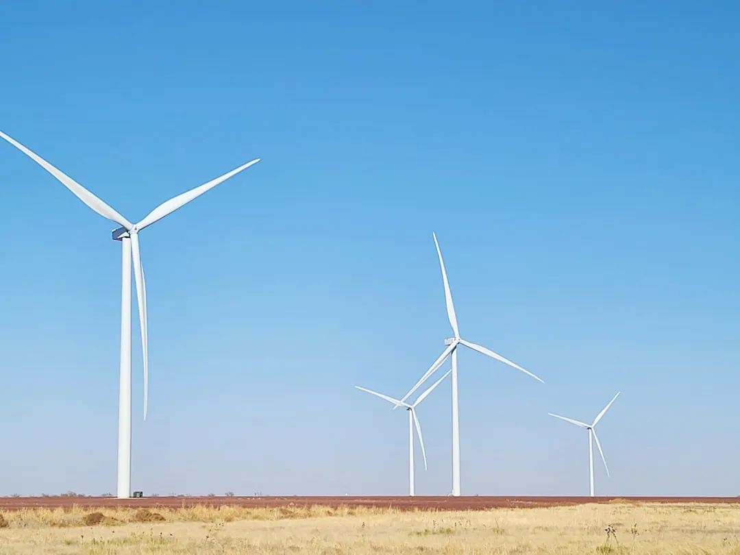 Texas: The Undisputed Renewable Giant (Image Credits: Unsplash)