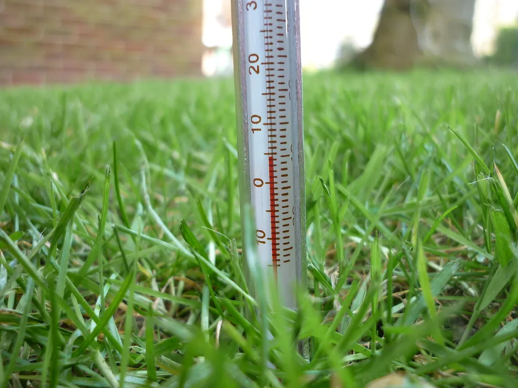 How to Actually Check Soil Temperature Before You Seed (Kris Lord (The Lawn Man), Flickr, CC BY 2.0)