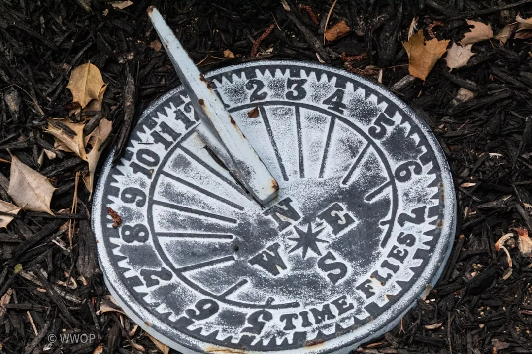 3. Mid-Century Cast Iron Sundials (Image Credits: Unsplash)