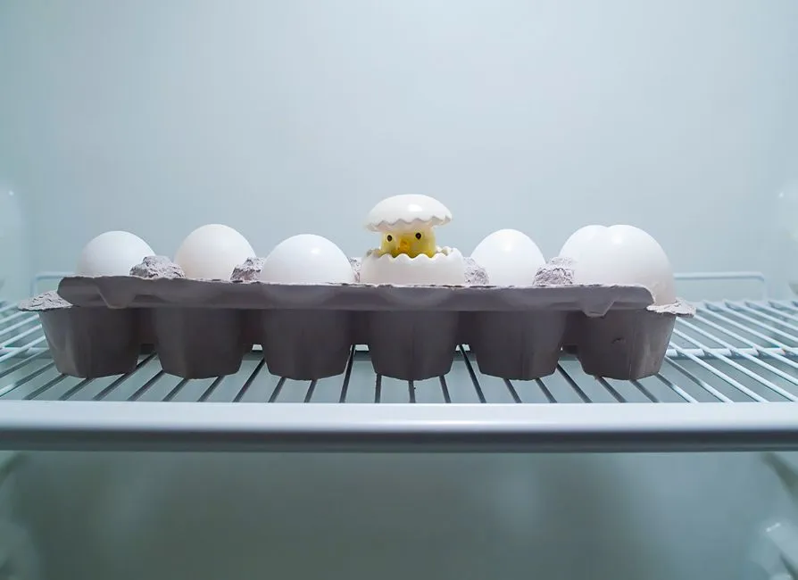 The Cold Chain: Once You Start, You Can't Stop (Image Credits: Pexels)