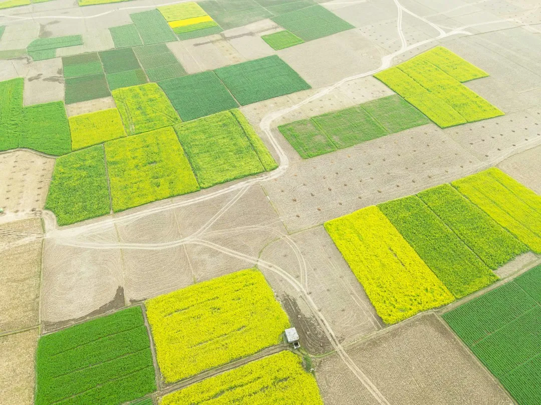 Planting by Climate Zone: When Winter Really Means Winter (Image Credits: Unsplash)