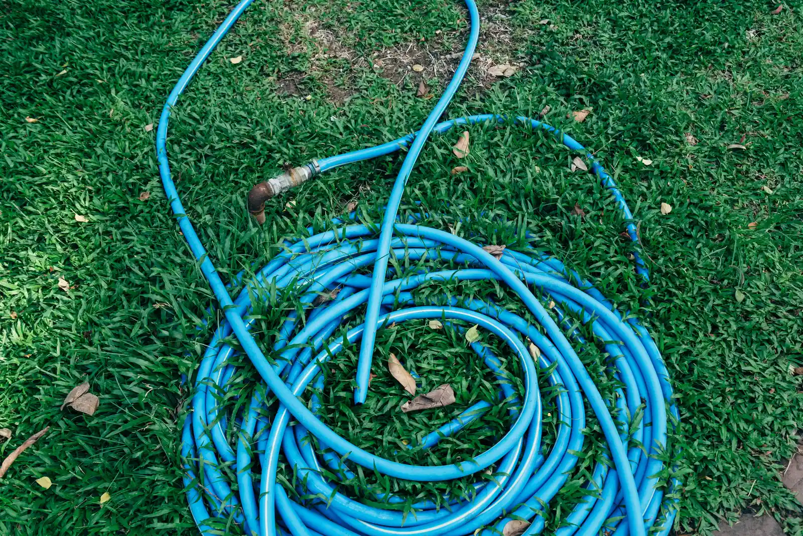 Why Even Experienced Homeowners Miss This (Image Credits: Pexels)