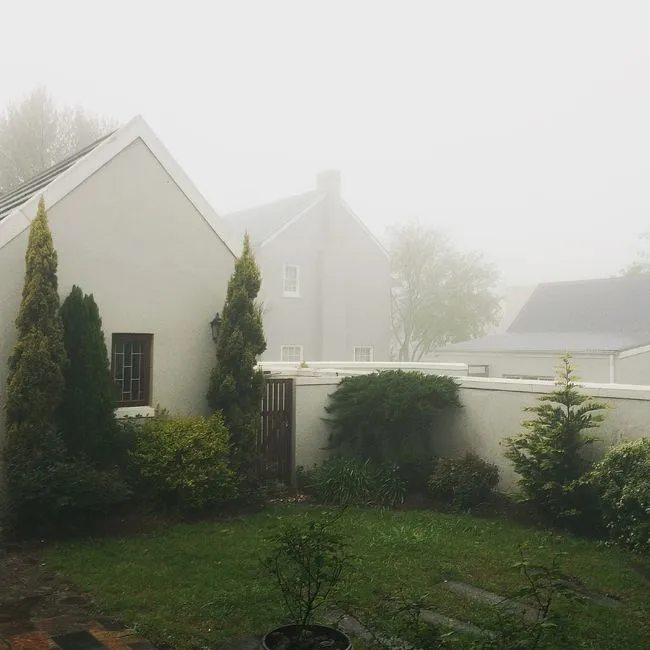 Avoiding the Most Common Fog-Belt Planting Mistakes (Image Credits: Pexels)