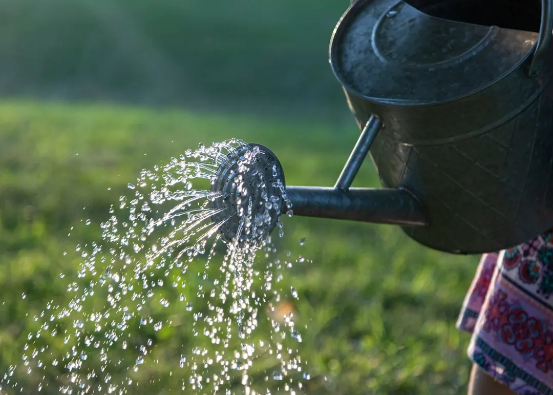 What Gardeners Can Take Away From This (Image Credits: Unsplash)