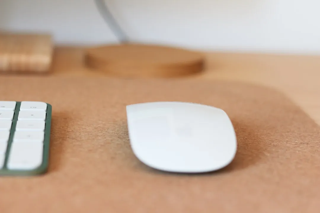 The Placemat Materials That Actually Protect (Image Credits: Unsplash)