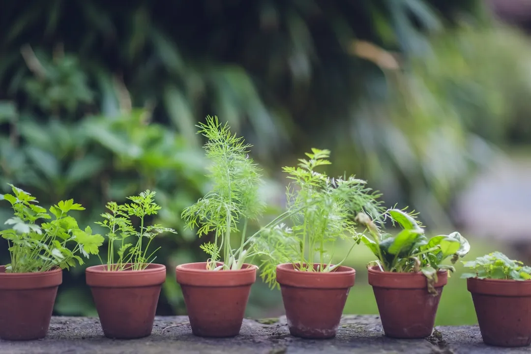 3. Grow Something, Even If It's Small (Image Credits: Unsplash)