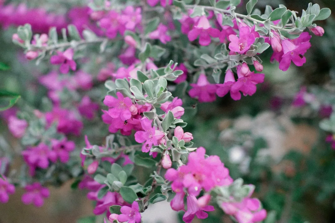 4. Choose Native and Drought-Adapted Plants Wisely (Image Credits: Unsplash)