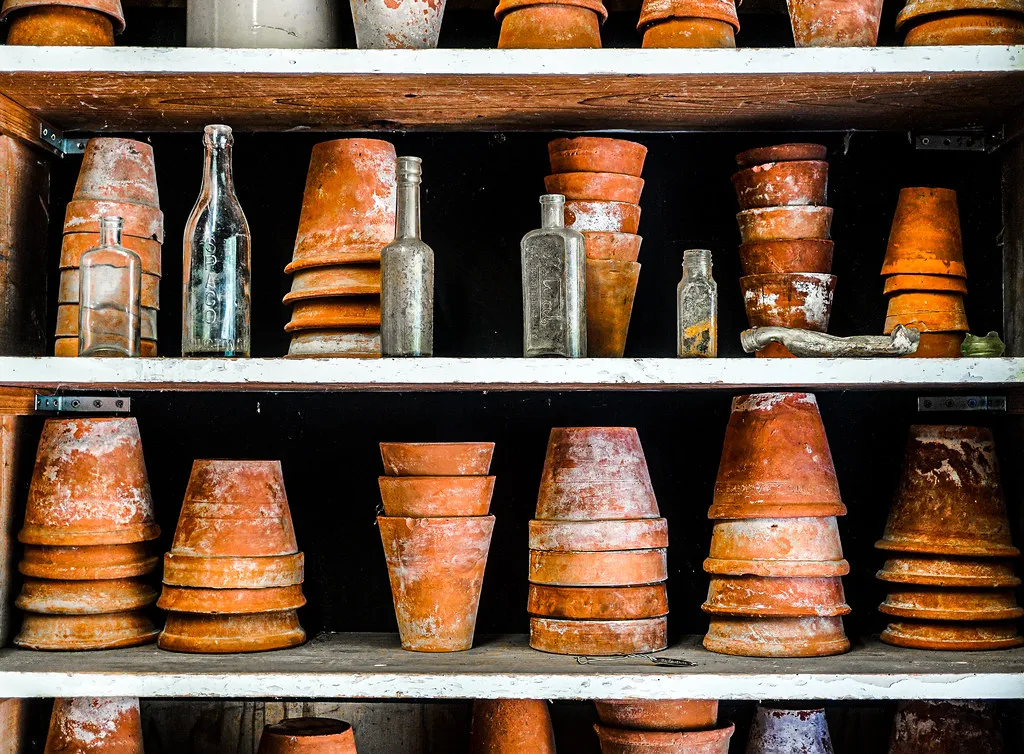Pot Material and Size: How Your Container Choice Affects Drainage (judy dean, Flickr, CC BY-SA 2.0)